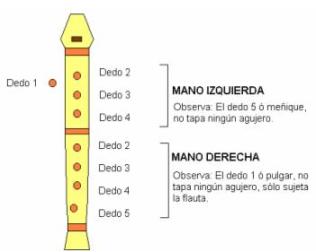Tipos De Flautas Dulces : Conocemos La Flauta Dulce Musica Fm : El sonido se produce cuando el intérprete sopla a través de la boquilla del instrumento haciendo chocar el aire.